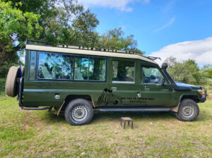 Migration Safari and Adventure in the Mara
