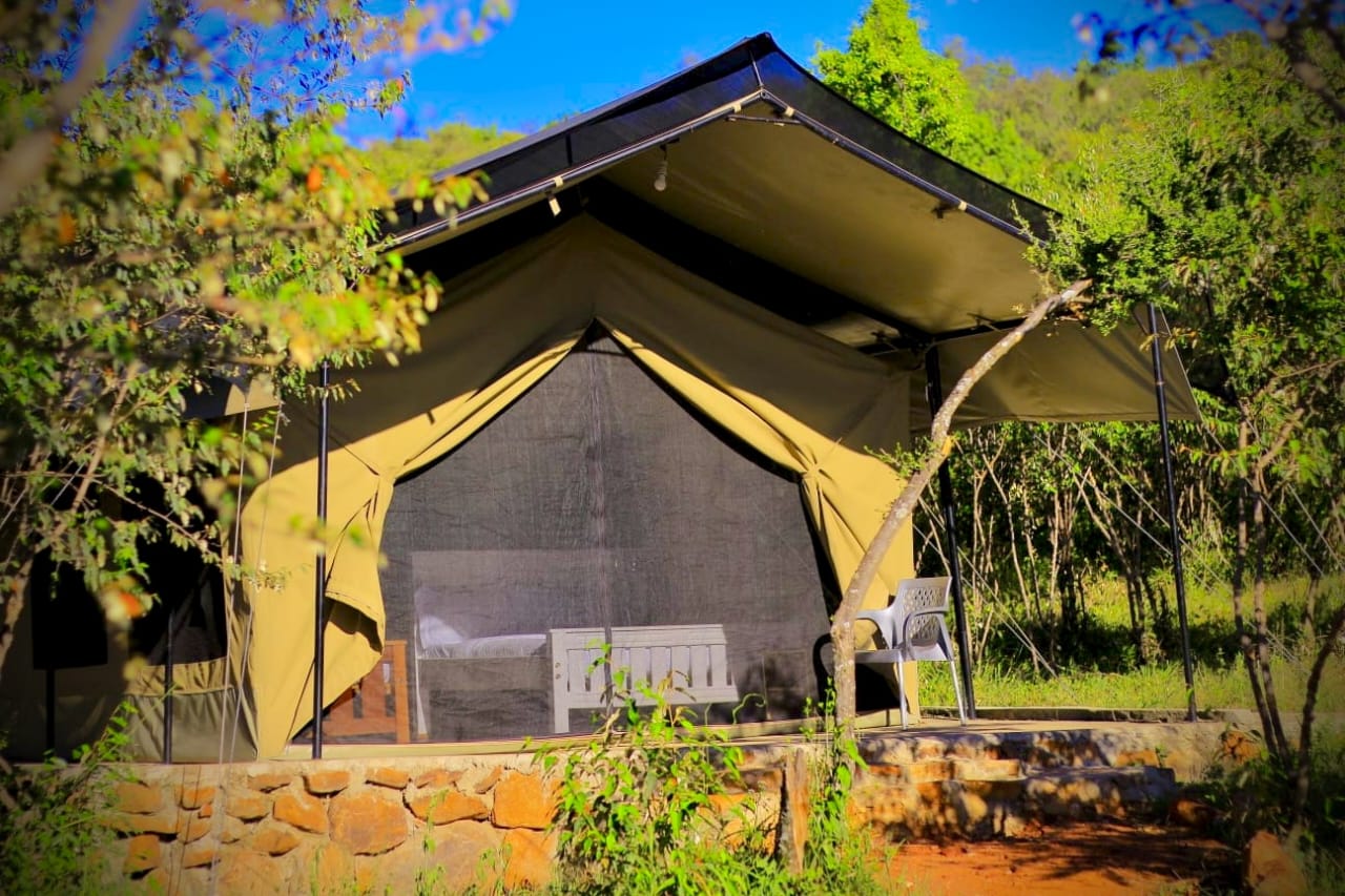 Nashulai Conservancy