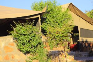 Luxury Mobile Camping Safari Experience