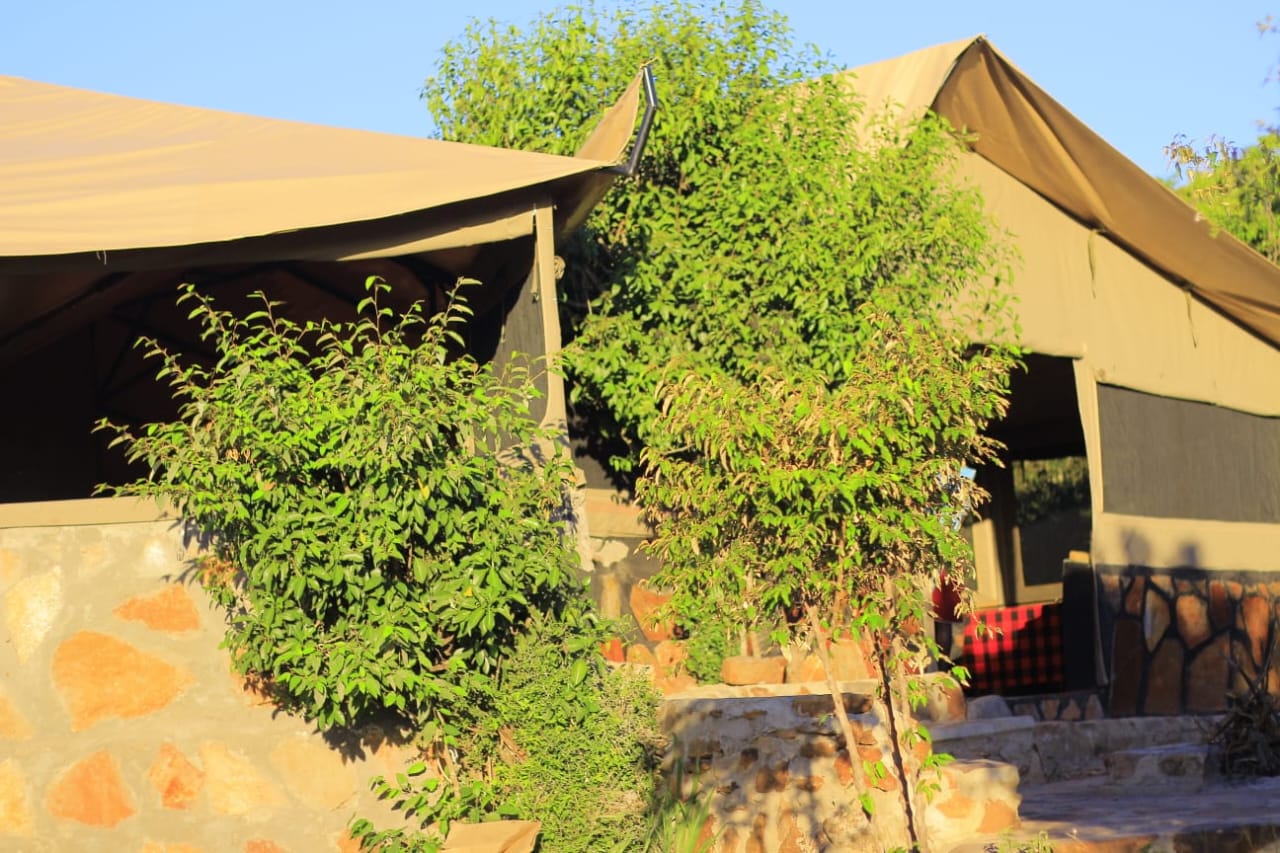 Luxury Mobile Camping Safari Experience